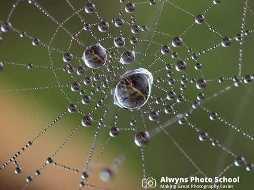 Beginners Photography Course 1-Introducing Your Camera