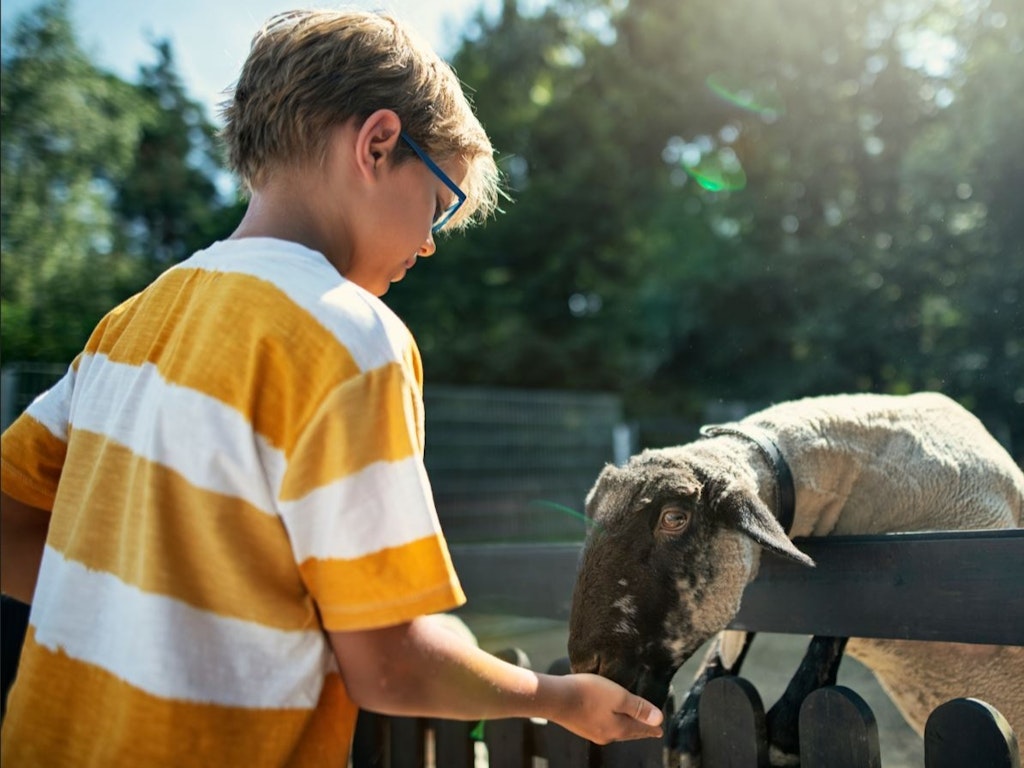 Junior Animal Attendant Day